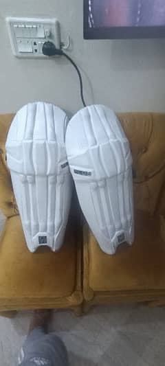 CA PADS