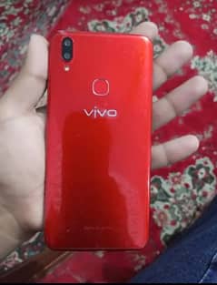 VIVO