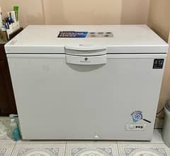 400 Inverter Single Door Freezer