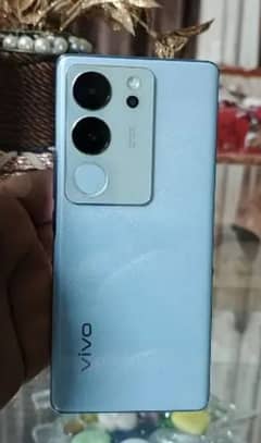 VIVO