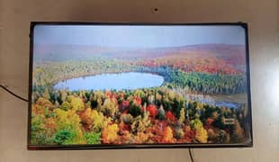 Ecostar 40 Inches Android 11.0 FHD TV