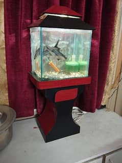 Aquarium with Fish Urgent sale