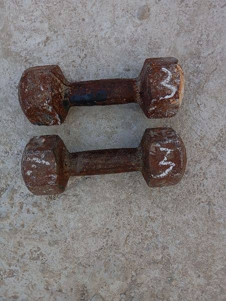 Weight Plates, Dumbbells, Rod & Clips - Perfect for Home Workouts 4