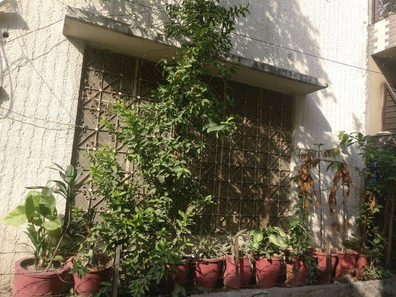 15 Big size Gamlay for sale in Lahore 2