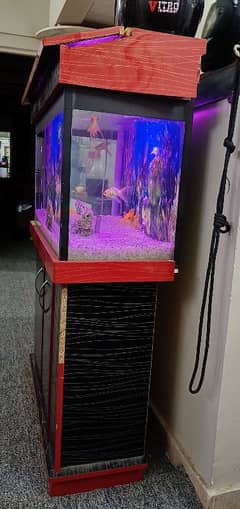 Aquarium for sale