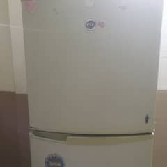 PEL Fridges