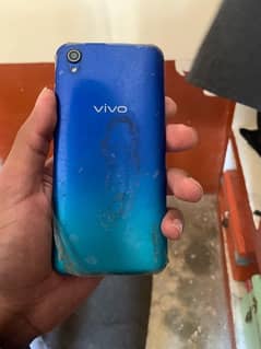 VIVO