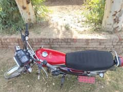 Honda 125 2023