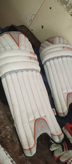 Cricket kit 2 bats signature by Imran Nazir used P C B level