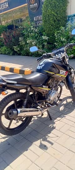 Ybr 125G all Punjab number