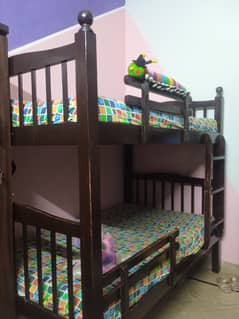 Bunk Bed 20,000 only