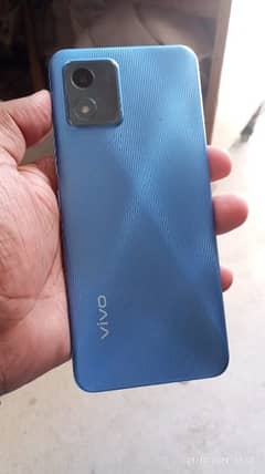 VIVO