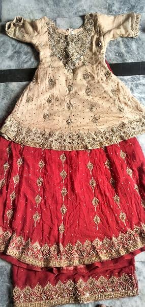 LEHNGA  CHOLI RUBATA  PARAS 4IN 1 7