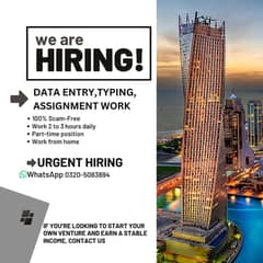 Data Entry / Typing / Assignment Work UAE