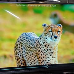 samsung 43 inch led tv smart android 4k 03224342554