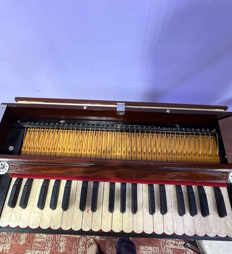 Harmonium Single Bellow 5