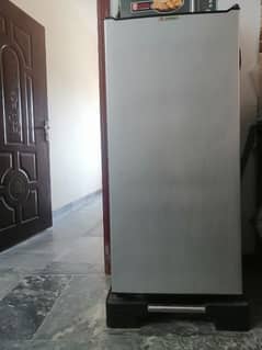 dalliance single door refrigerator