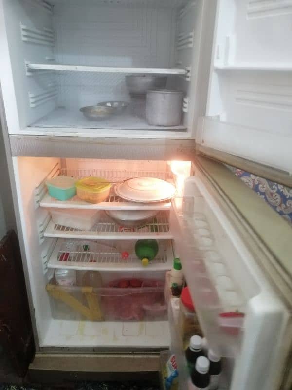 pel fridge 3