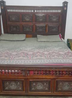 Chinodiii bed