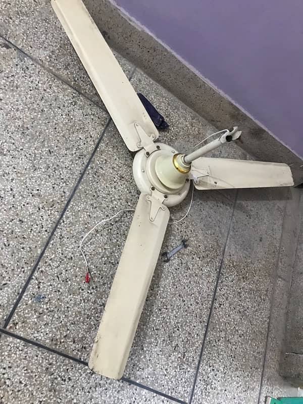 5 ceiling fans available for sale 1