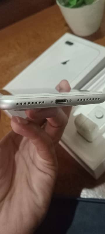 iphone 8 plus 64gb pta paroof condition 10/10 2