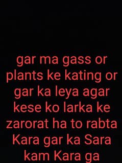 gar ka kam or plants ka leya larka majod ha