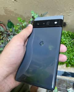 google pixel 6pro f. u