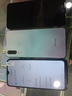 vivo