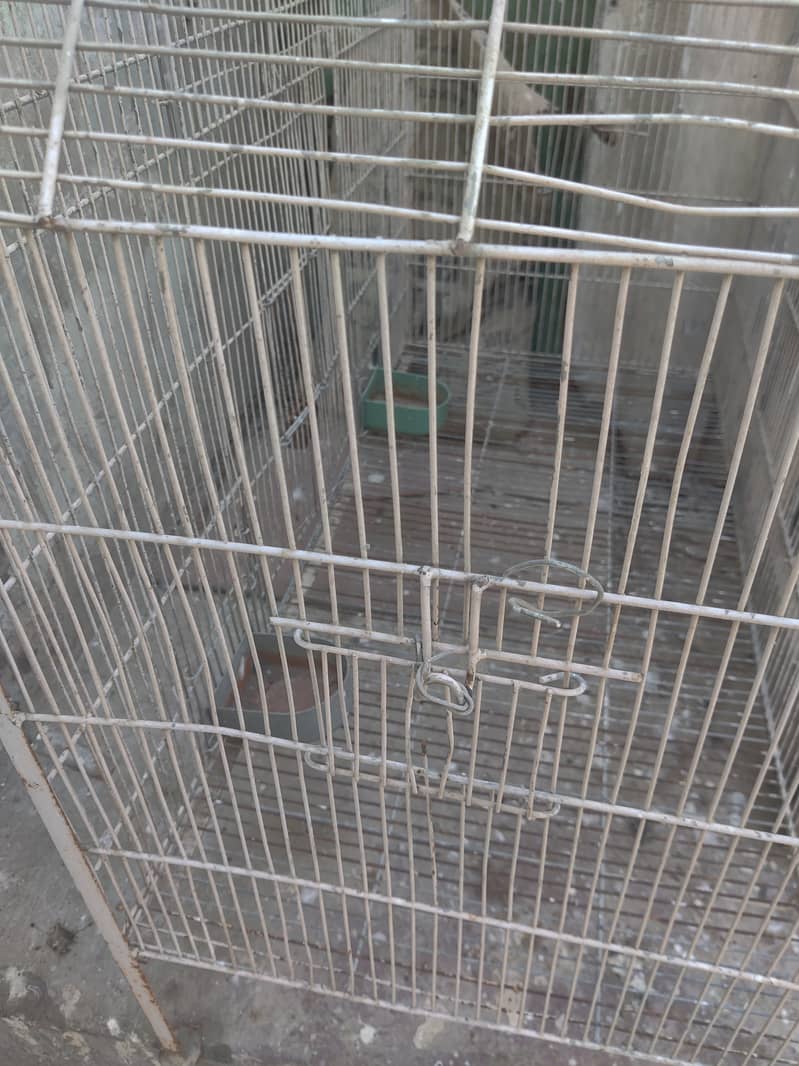 Hen Cage , pinjra , build quality bht mazboot hai 3