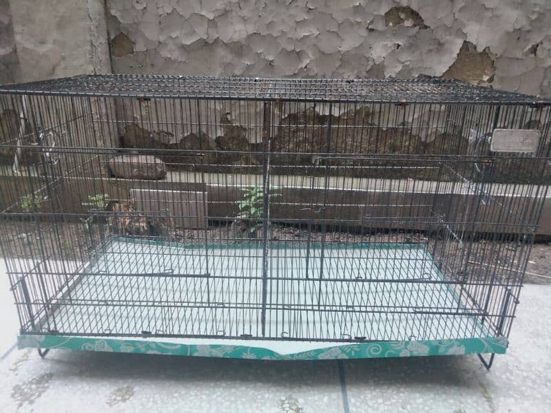 cage for sale 1