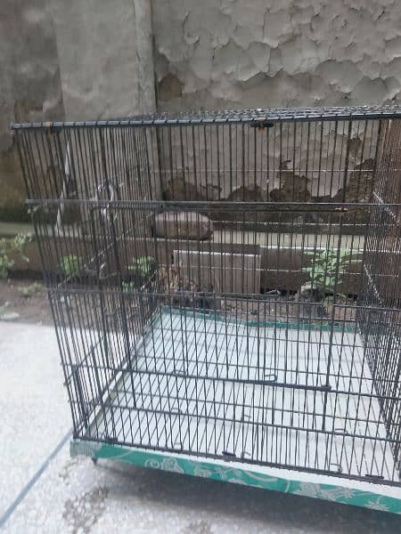 cage for sale 3