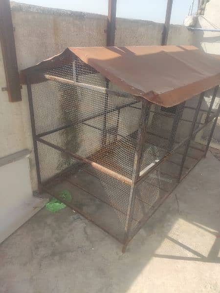 Birds cage 4