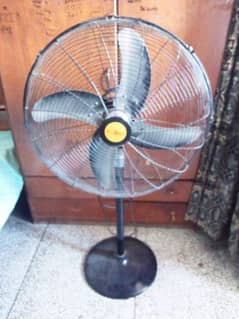 PEDESTAL FAN