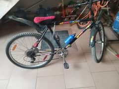 Mountain Bicycle