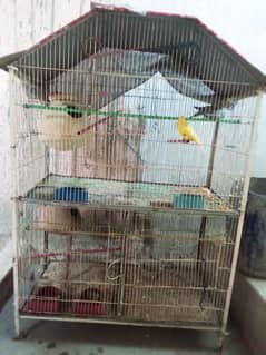 Bird Cage