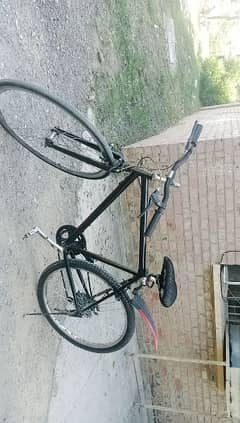 cycle for sale