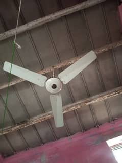 GFC fan 56inch 99.99pure copper