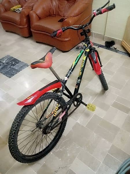 Used Bicycle 2