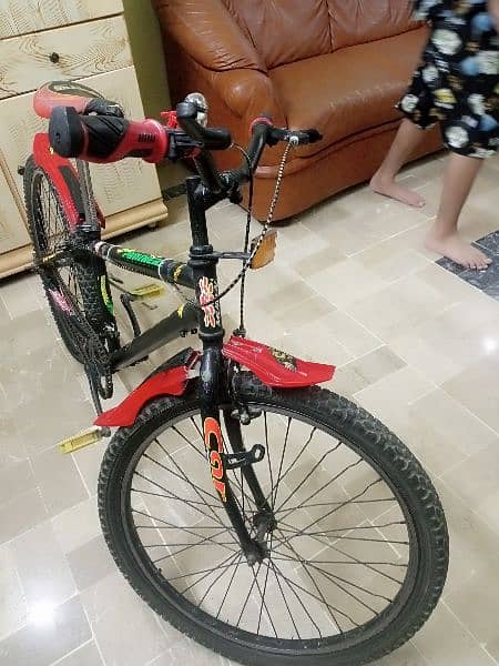 Used Bicycle 4