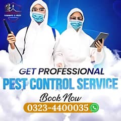 Pest Control ,Fumigation ,Termite , Dengue Control , Deemak Control 0