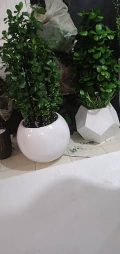 artificial plant/home decoration/plants/decoration peace