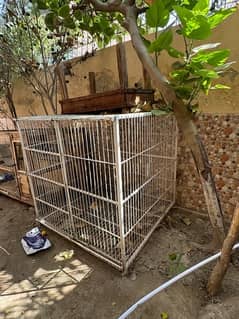 iron cage for dogs or for wild animals like lion