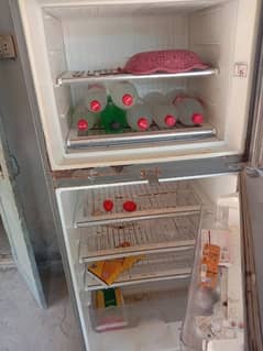 fridge