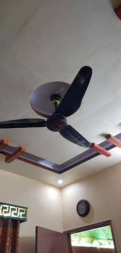 2 ceiling fans same color