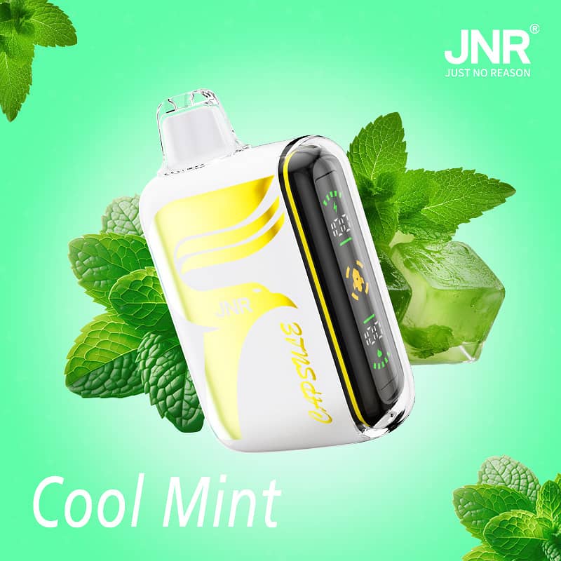 Vapes/Disposables/JNR CAPSULE 15000 puffs/VAPE 4