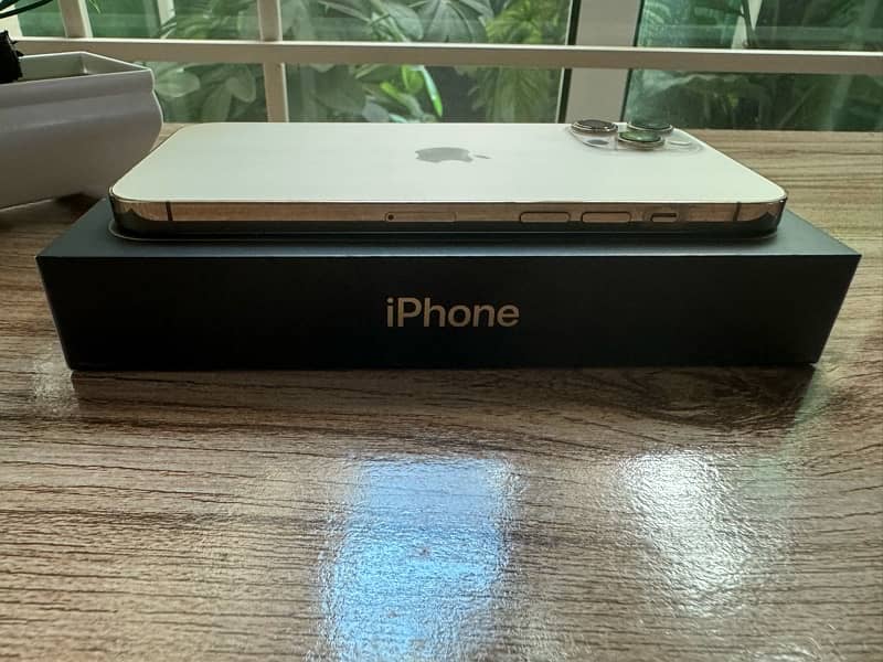 Iphone 12 Pro Max - 128 GB 3