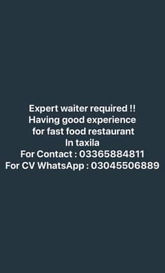 waiter