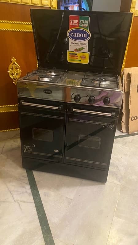 Canon cooking range & cabinets 6