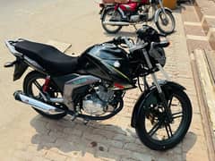 Suzuki GSX 125 Urgent For Sale | Suzuki GSX In Bikes