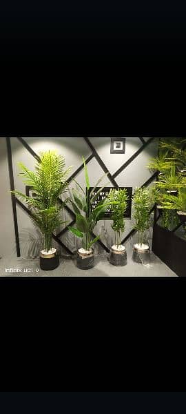 Artificial plants 9